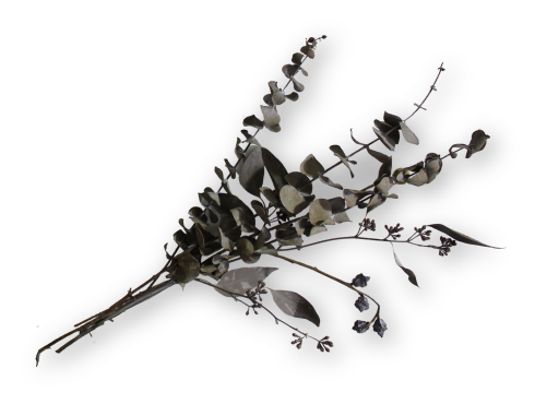 Dry&nbsp;flower
